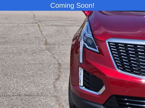 Used 2024 Cadillac XT5 Premium Luxury AWD/4WD image 10