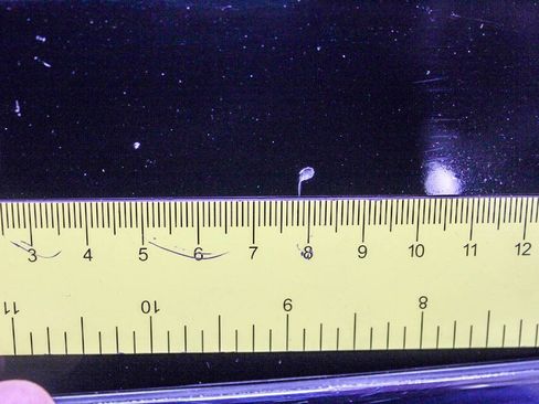 Used 2015 INFINITI Q50 2.0t w/ Moonroof Package image 28