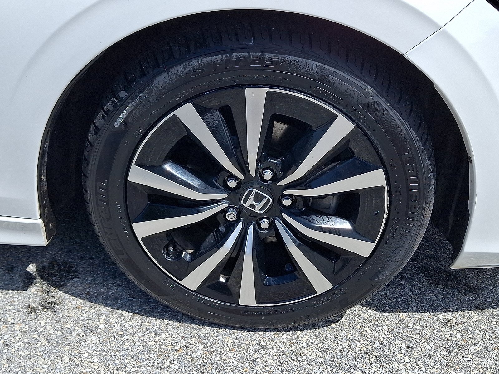 Used 2023 Honda Civic EX image 8