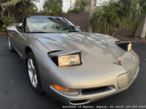 Used 2000 Chevrolet Corvette Convertible w/ Performance Handling Pkg RWD image 5