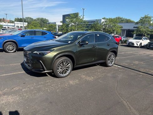 Used 2025 Lexus NX 350h AWD w/ Premium Package image 1