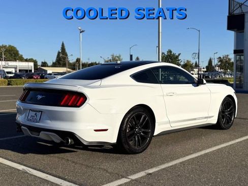 Used 2016 Ford Mustang Premium w/ Pony Package RWD image 5