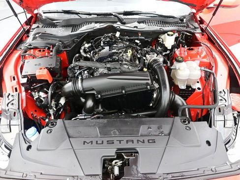 Used 2024 Ford Mustang Premium image 12