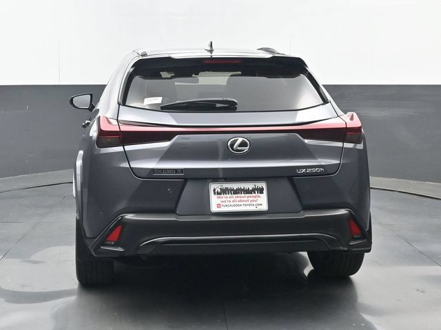 Used 2024 Lexus UX 250h F Sport FWD image 19