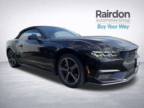 Used 2024 Ford Mustang Premium RWD image 1