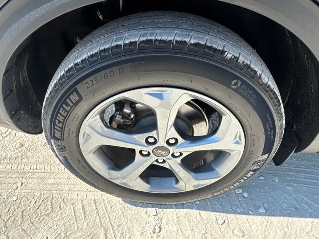 Used 2025 Ford Escape ST-Line AWD/4WD image 23