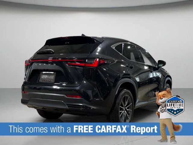 Certified 2024 Lexus NX 350 AWD w/ Premium Package image 4