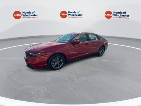Used 2025 Honda Accord EX-L image 4
