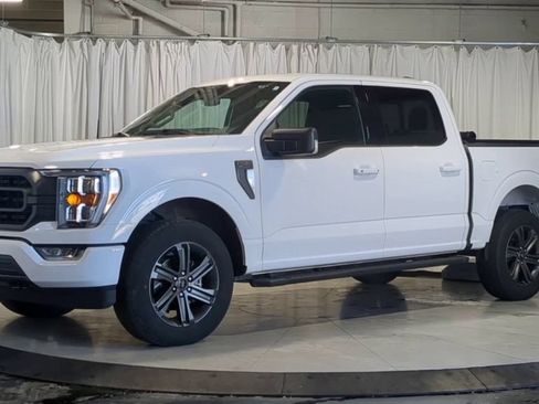 Used 2023 Ford F150 XLT w/ Equipment Group 302A High AWD/4WD image 5
