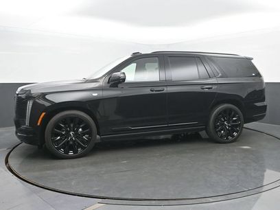 Certified 2026 Cadillac Escalade Platinum Sport w/ LPO, ONYX Package