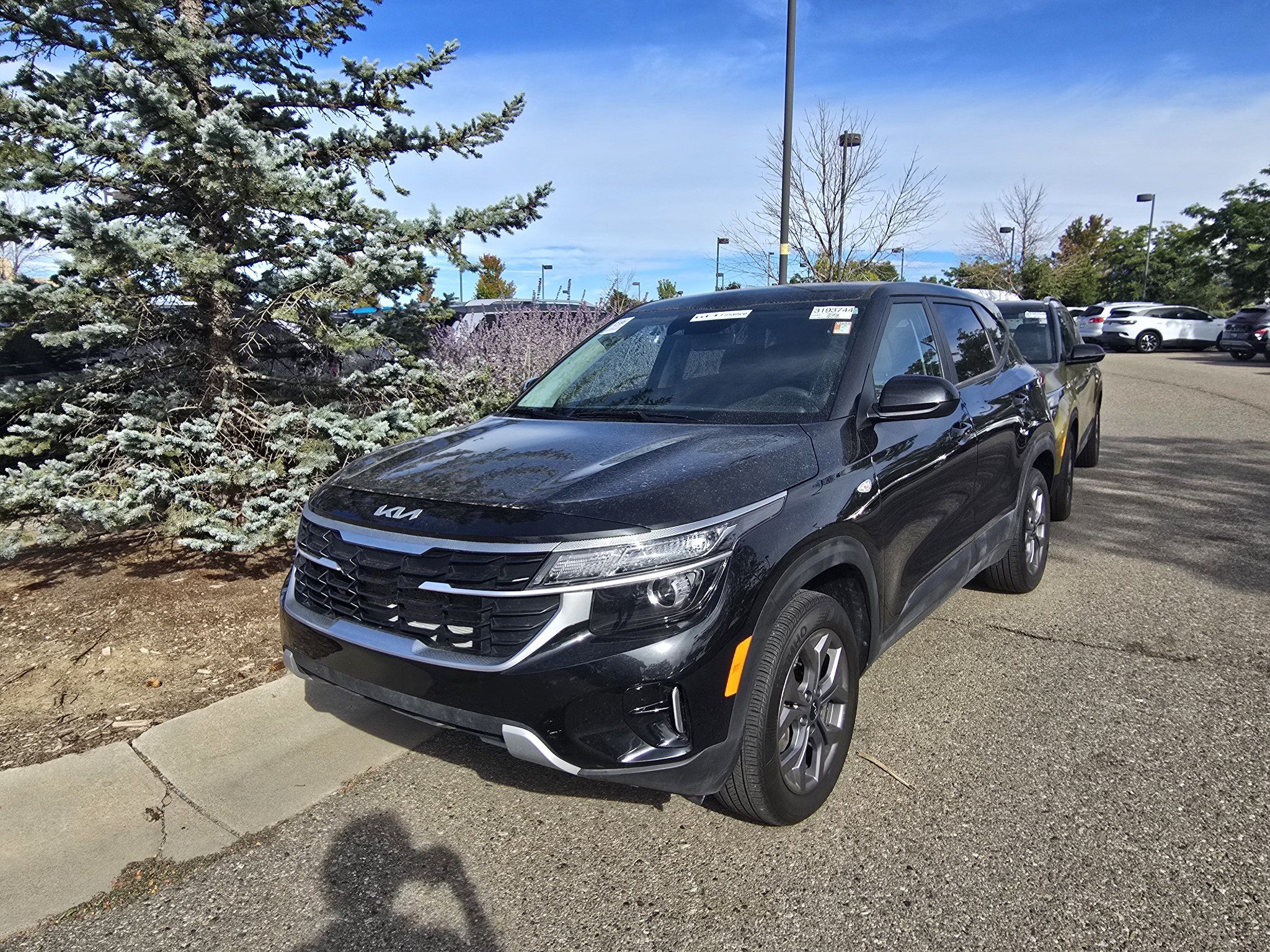 Used 2024 Kia Seltos LX AWD/4WD image 12