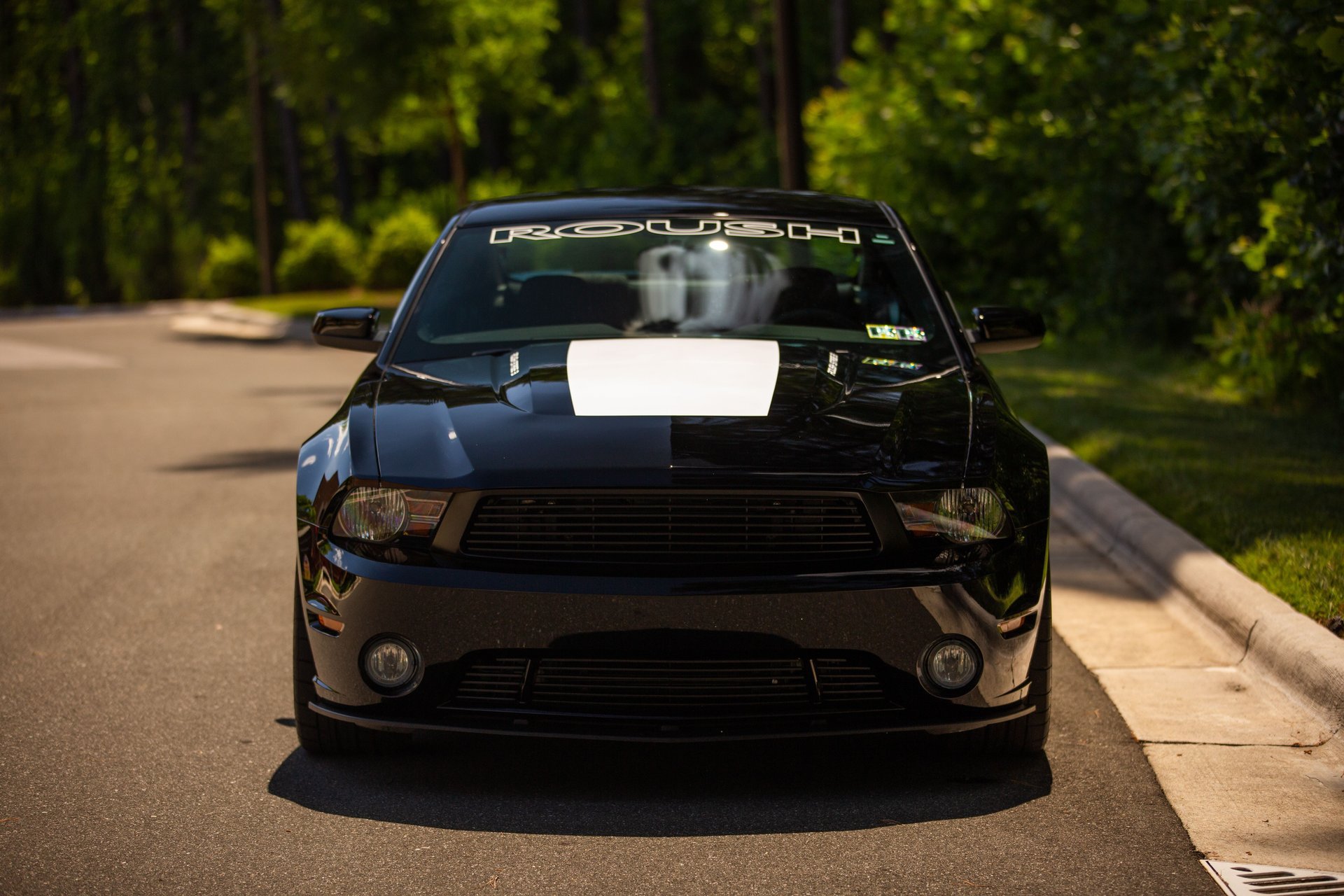 Used 2010 Ford Mustang GT RWD image 14