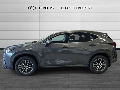 Certified 2025 Lexus NX 350h 350h Premium image 6