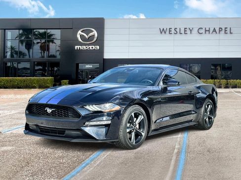 Used 2021 Ford Mustang EcoBoost w/ Equipment Group 101A image 1