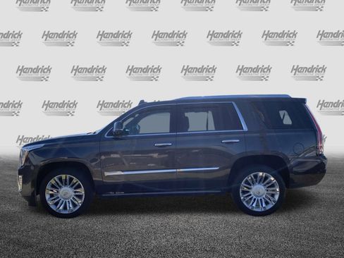 Used 2017 Cadillac Escalade Platinum image 7