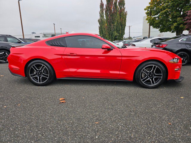 Used 2022 Ford Mustang Coupe w/ Equipment Group 101A RWD image 2