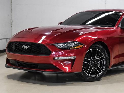 Used 2019 Ford Mustang Premium RWD image 5