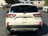 Used 2020 Ford Escape Titanium image 3