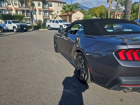 Used 2024 Ford Mustang Premium image 4