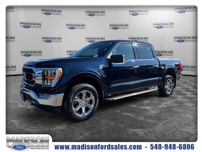 Used 2023 Ford F150 XLT w/ Equipment Group 302A High