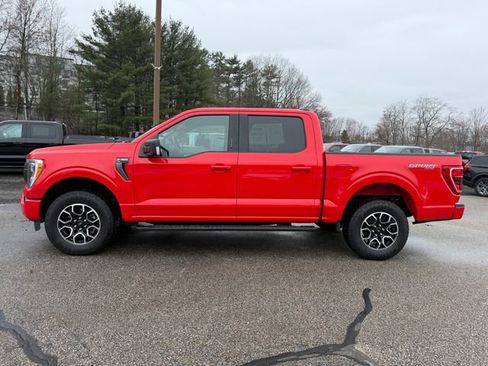 Certified 2023 Ford F150 XLT w/ Equipment Group 302A High AWD/4WD image 2