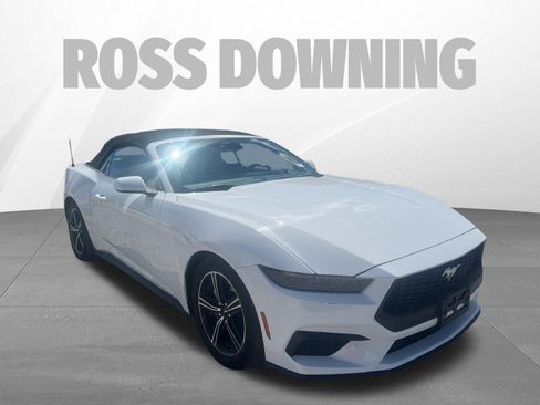 Used 2025 Ford Mustang Premium image 3