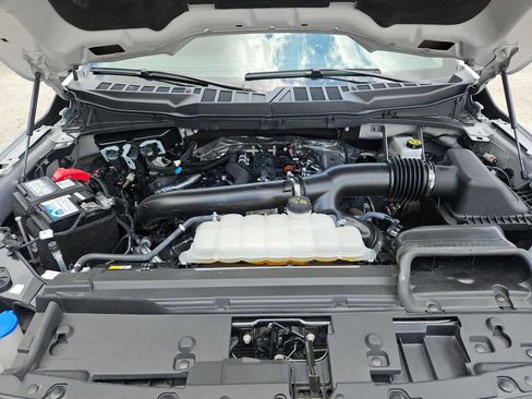 Used 2025 Ford F150 XLT w/ Equipment Group 301A Standard RWD image 15