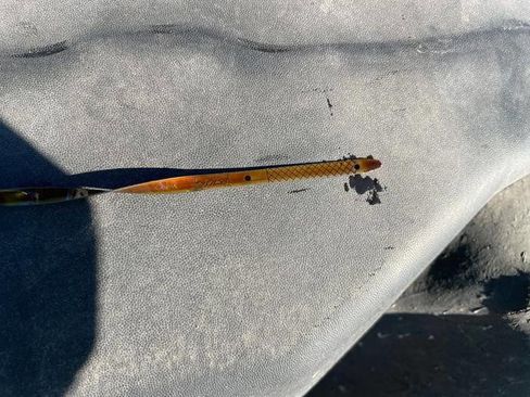 Used 2005 Ford F150 XLT image 43