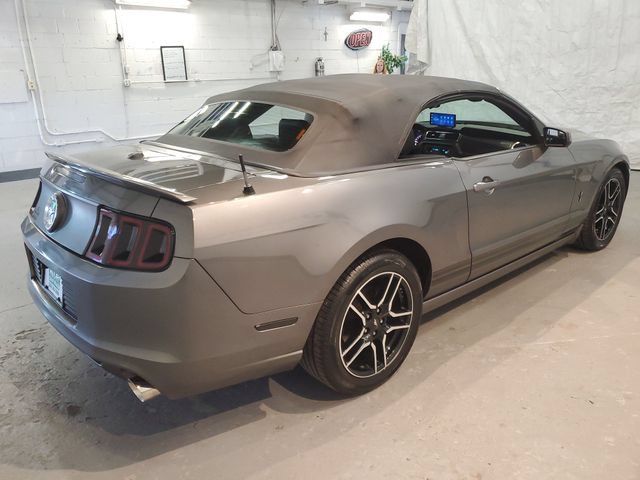 Used 2014 Ford Mustang Premium w/ Equipment Group 201A RWD image 9