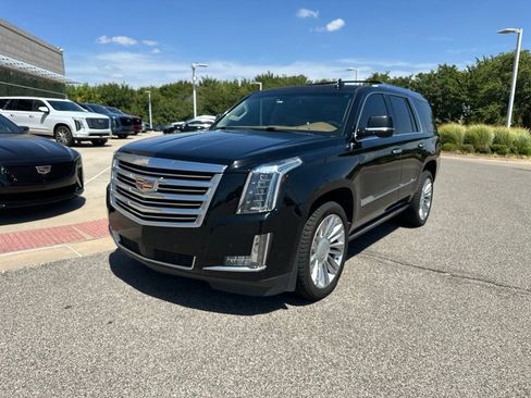 Used 2015 Cadillac Escalade Platinum AWD/4WD image 1