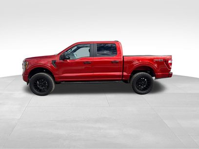 Certified 2023 Ford F150 XL w/ STX Appearance Package
