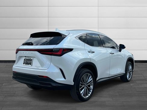 Used 2025 Lexus NX 350h AWD w/ Premium Package image 3