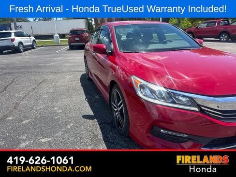 Used 2017 Honda Accord Sport Special Edition image 11