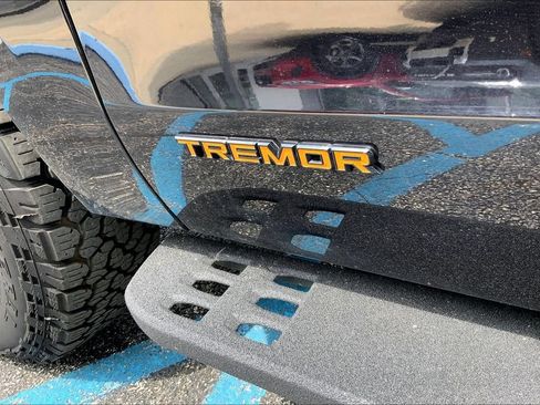 Used 2025 Ford Expedition Tremor AWD/4WD image 4