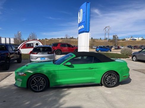 Used 2019 Ford Mustang Premium w/ Equipment Group 201A image 1