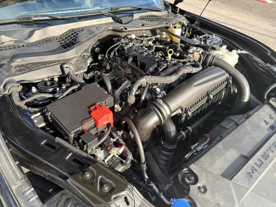 Used 2024 Ford Mustang Premium RWD image 45