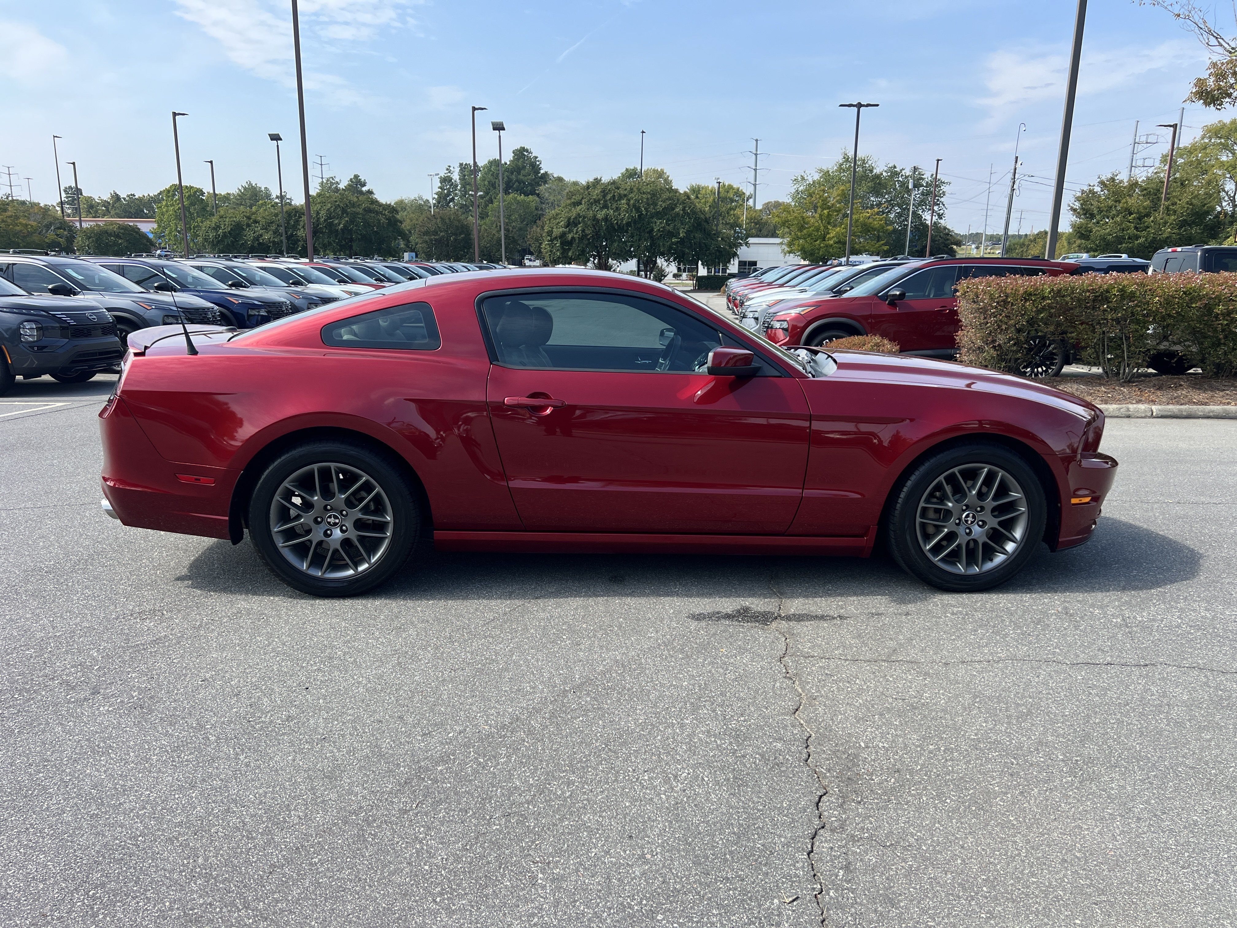 Used 2014 Ford Mustang Premium w/ Equipment Group 203A RWD image 4