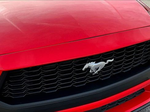 Used 2024 Ford Mustang Premium image 33