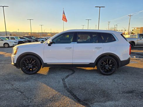 Used 2021 Kia Telluride SX w/ SX Prestige Package image 7