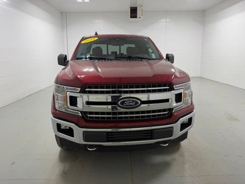 Used 2019 Ford F150 XLT w/ Equipment Group 302A Luxury AWD/4WD image 2
