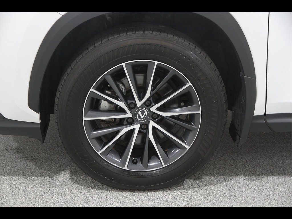 Certified 2024 Lexus NX 350h AWD w/ Cold Area Package image 22