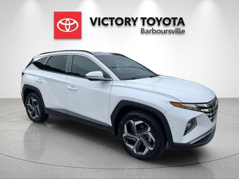 Used 2024 Hyundai Tucson Limited AWD/4WD image 5