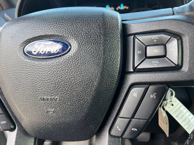 Used 2019 Ford F150 XLT w/ Equipment Group 302A Luxury AWD/4WD image 25