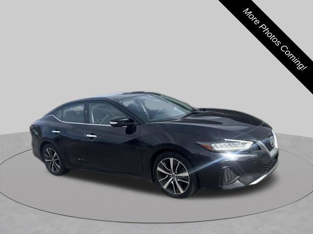 Used 2019 Nissan Maxima 3.5 SV w/ Floor Mat Group FWD image 3