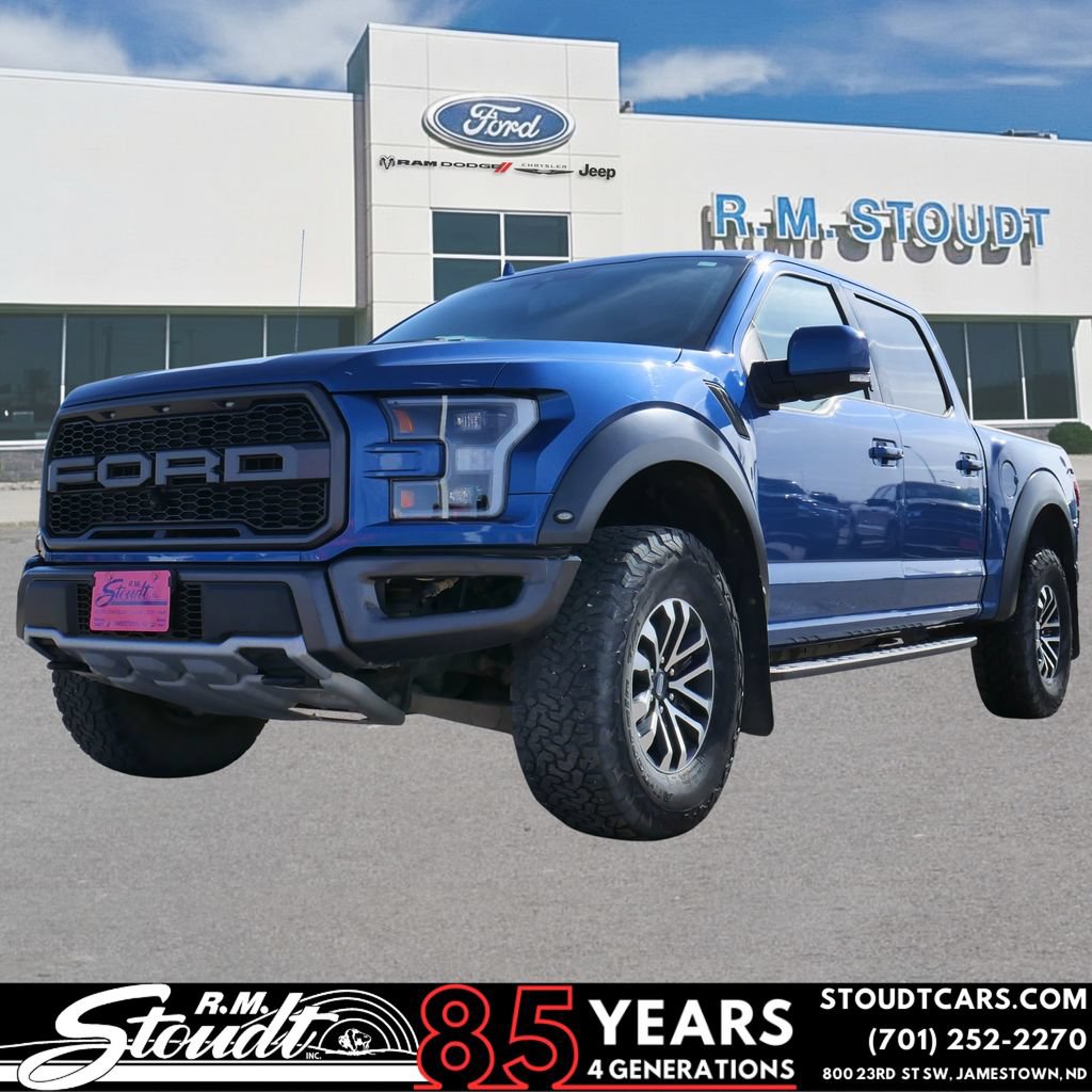 Used 2019 Ford F150 Raptor w/ Equipment Group 802A Luxury AWD/4WD image 1