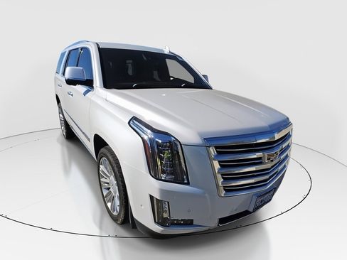 Used 2020 Cadillac Escalade Platinum image 1