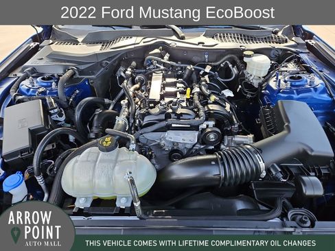 Used 2022 Ford Mustang Coupe w/ Equipment Group 101A image 14