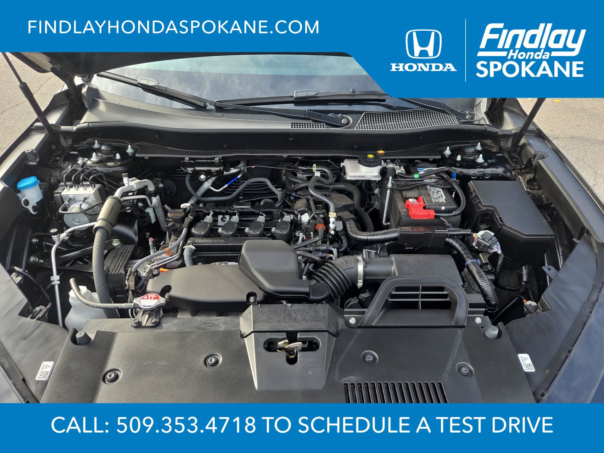 Used 2025 Honda CR-V EX-L image 13