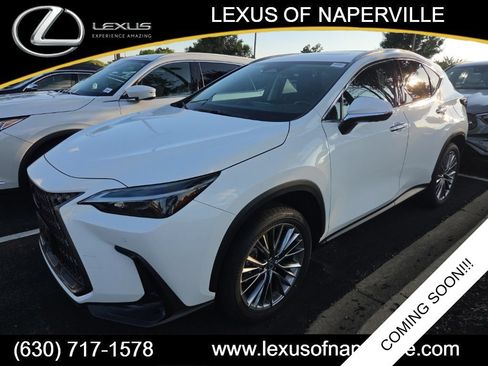 Certified 2026 Lexus NX 350 AWD w/ Accessory Package (2T) image 1