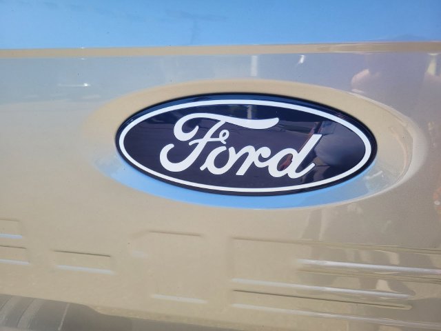 Used 2025 Ford F150 XLT w/ Equipment Group 301A Standard AWD/4WD image 10